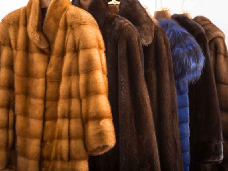 想让皮草常穿常新 这些保养秘诀别错过