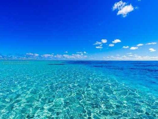 深蓝的什么让你不再犹豫？这款车用亲民价格打破了智能驾驶门槛