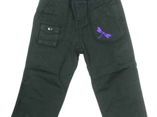 探秘红蜻蜓到底是个啥品牌