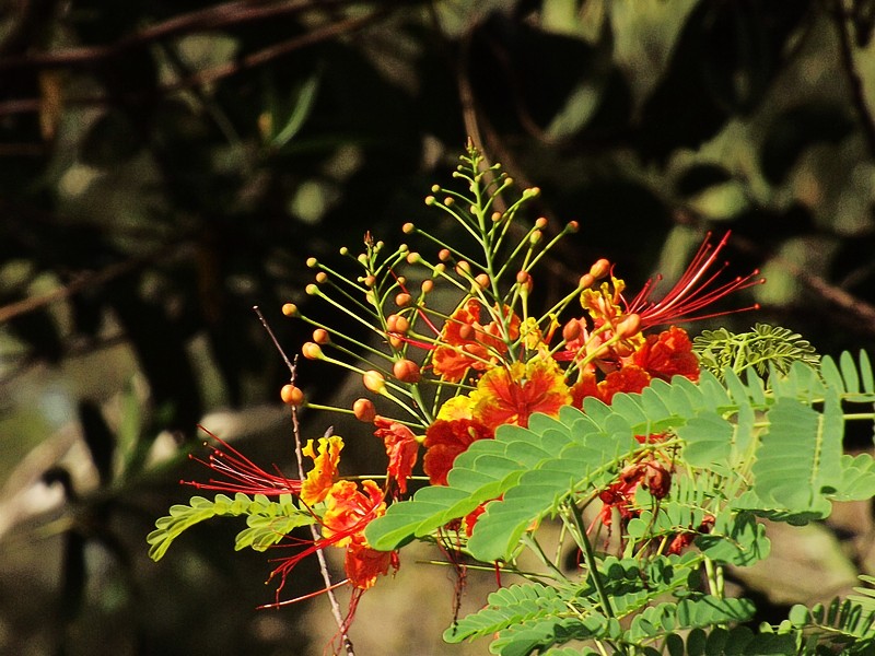 黄色是啥色老司机带你唠明白这个亮眼颜色