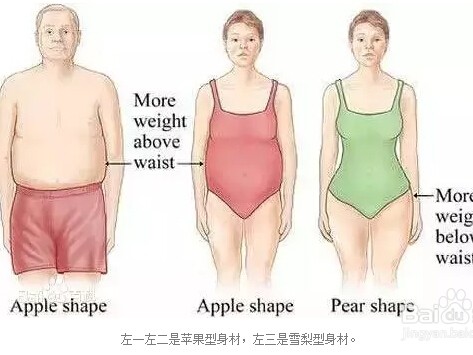 苹果型身材全解析 你的身材类型你知道吗