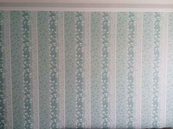 浅蓝色配色全攻略：从穿搭到家居的高级感秘籍